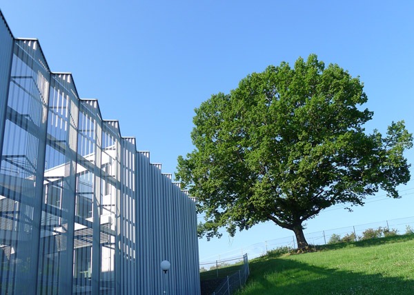 The Trafag headquarters in Bubikon not only fulfils the Minergie requirements for sustainable construction and operation. When designing the surroundings, care was also taken to ensure that only native plants were planted.